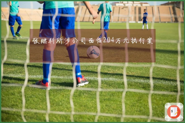 张继科所涉公司面临204万元执行案