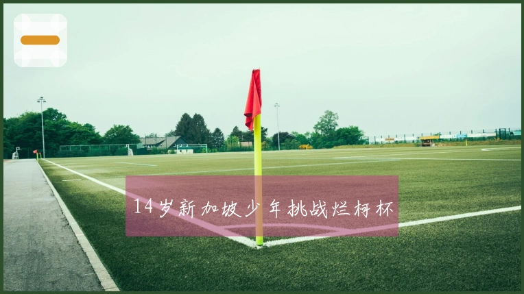 14岁新加坡少年挑战烂柯杯
