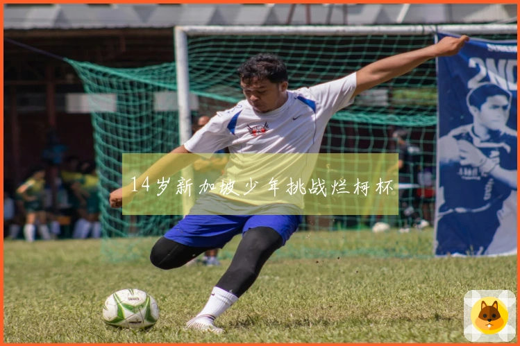 14岁新加坡少年挑战烂柯杯