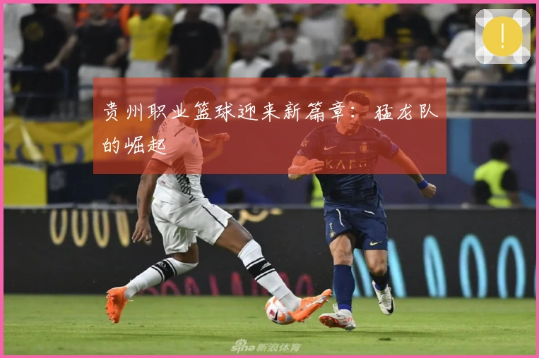 贵州职业篮球迎来新篇章：猛龙队的崛起