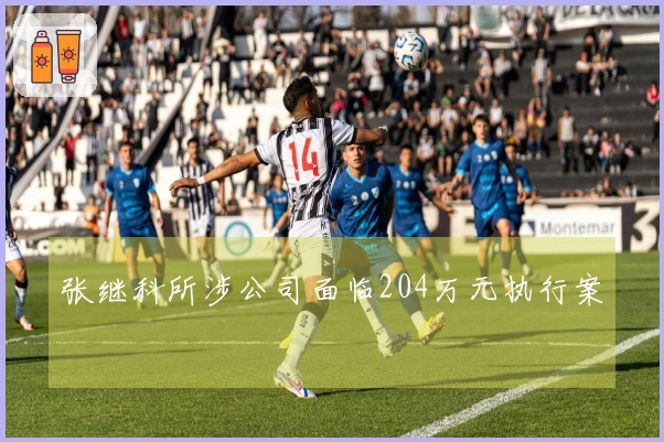 张继科所涉公司面临204万元执行案